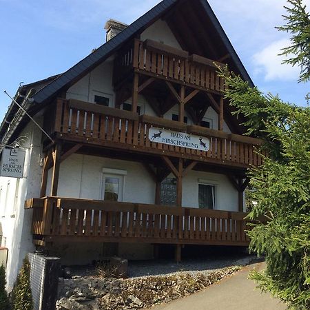 Pension Haus Am Hirschsprung Willingen  Exterior photo