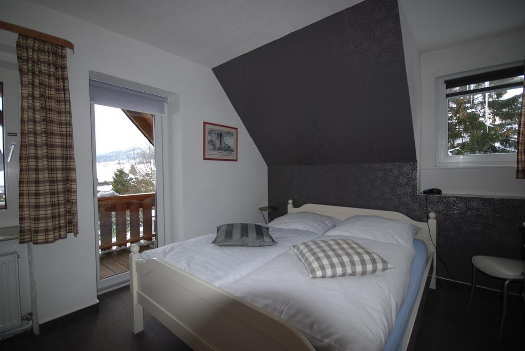 Pension Haus Am Hirschsprung Willingen  Exterior photo