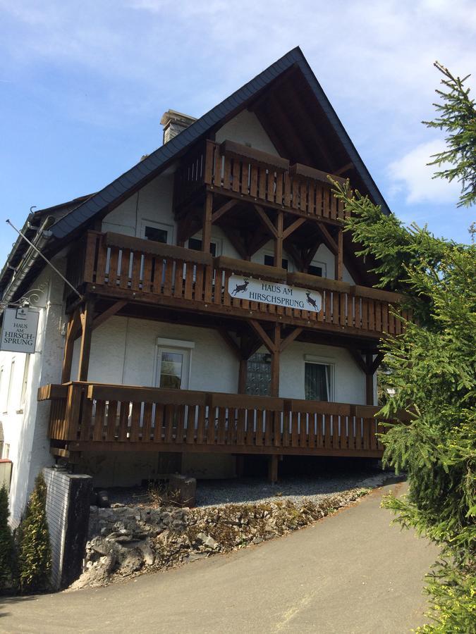 Pension Haus Am Hirschsprung Willingen  Exterior photo